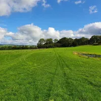 holmescales-campsite-kendal-w59zq