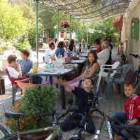 Les Lavandes