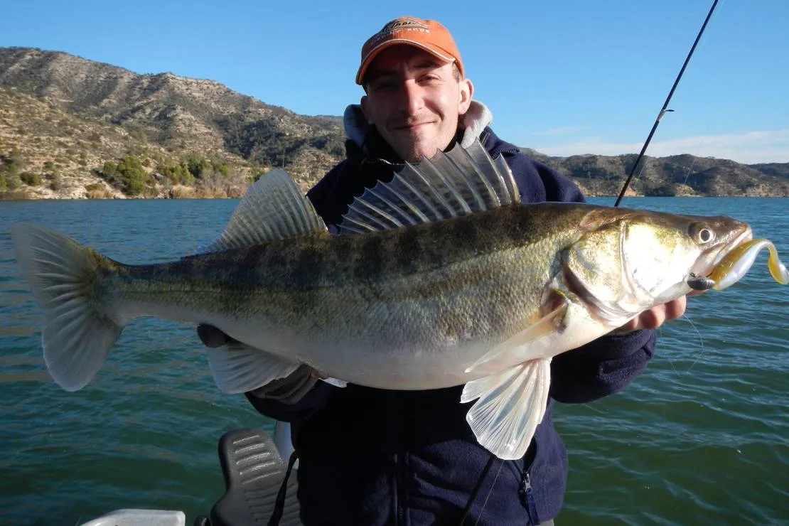 camping-municipal-de-fayon-fayon-9mh1m