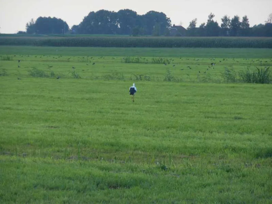 minicamping-de-duin-blokzijl-inljm