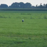 minicamping-de-duin-blokzijl-inljm