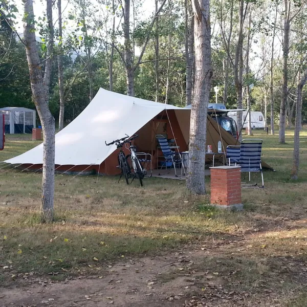 la-cota-la-vecilla-elmiv