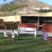 camping-las-aguas-canizar-del-olivar-6kvmy