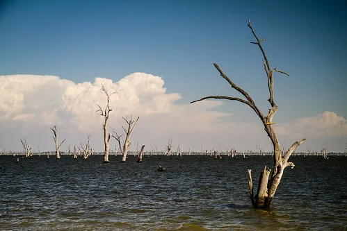 kiffins-reserve-campground-mulwala-jyxwf