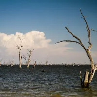 Kiffins Reserve Campground