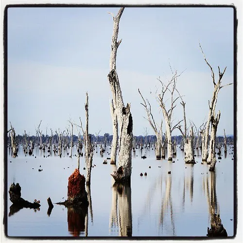 kiffins-reserve-campground-mulwala-o1ulp