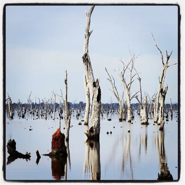 kiffins-reserve-campground-mulwala-o1ulp