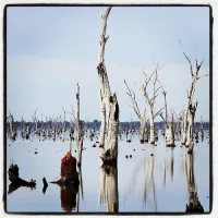 kiffins-reserve-campground-mulwala-o1ulp