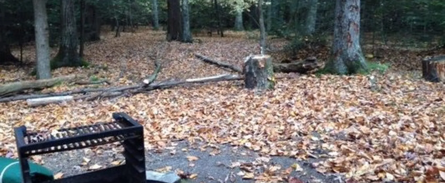 New Germany State Park