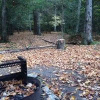 new-germany-state-park-grantsville-qxmub