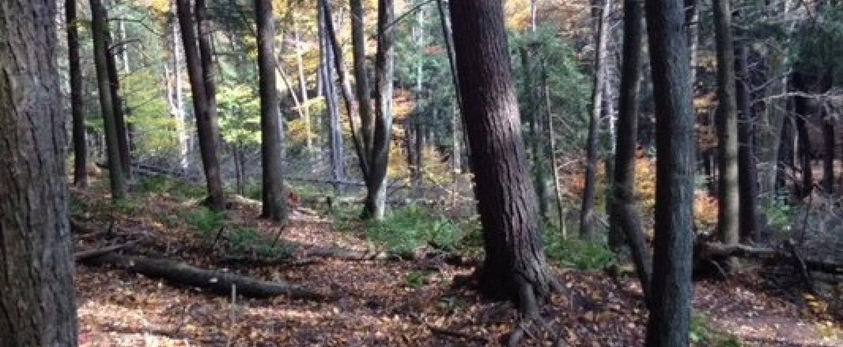 New Germany State Park
