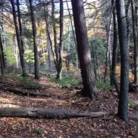 new-germany-state-park-grantsville-t9gz5