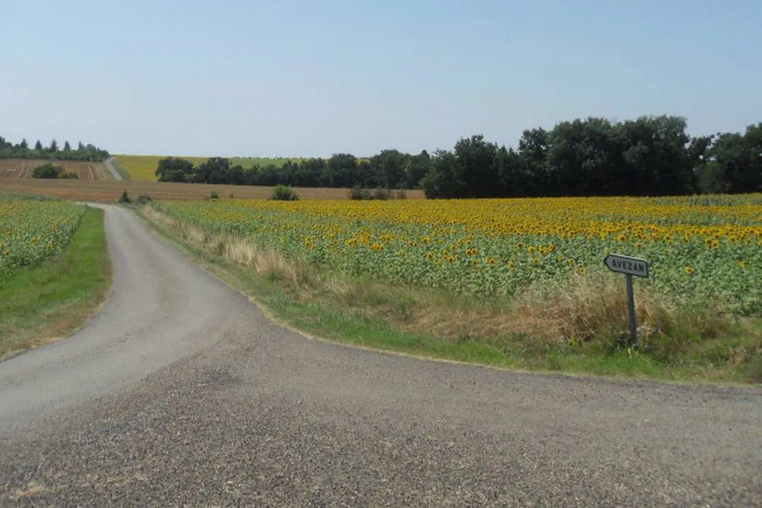 camping-la-ferme-dembarthe-avezan-pcxtz