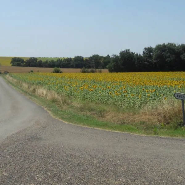 camping-la-ferme-dembarthe-avezan-pcxtz