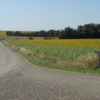 camping-la-ferme-dembarthe-avezan-pcxtz