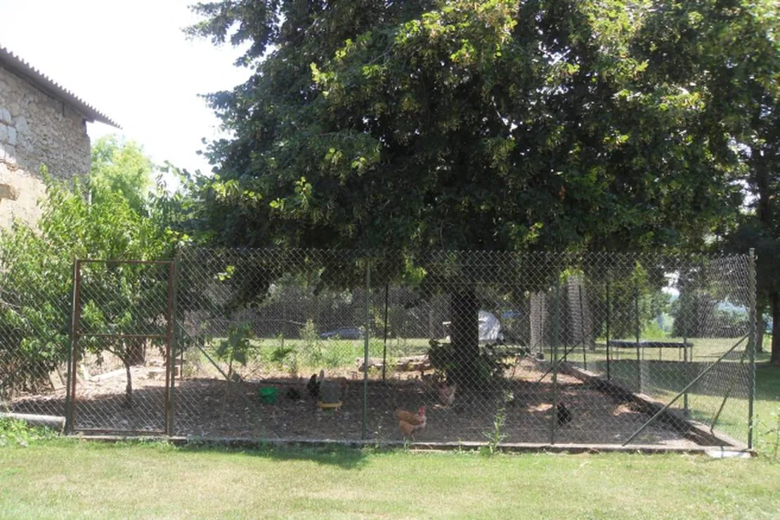 camping-la-ferme-dembarthe-avezan-zynaf