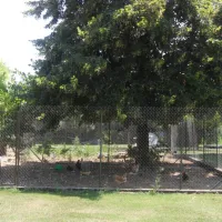 camping-la-ferme-dembarthe-avezan-zynaf