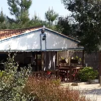 vale-da-carrasqueira-monchique-fgo6r