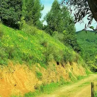 vale-da-carrasqueira-monchique-mf2sr