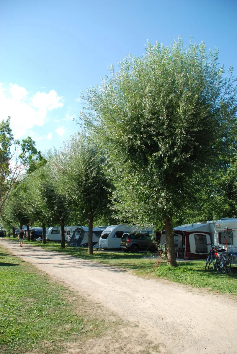 le-vallon-de-lehn-obernai-kklg5