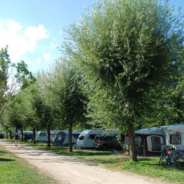 le-vallon-de-lehn-obernai-kklg5