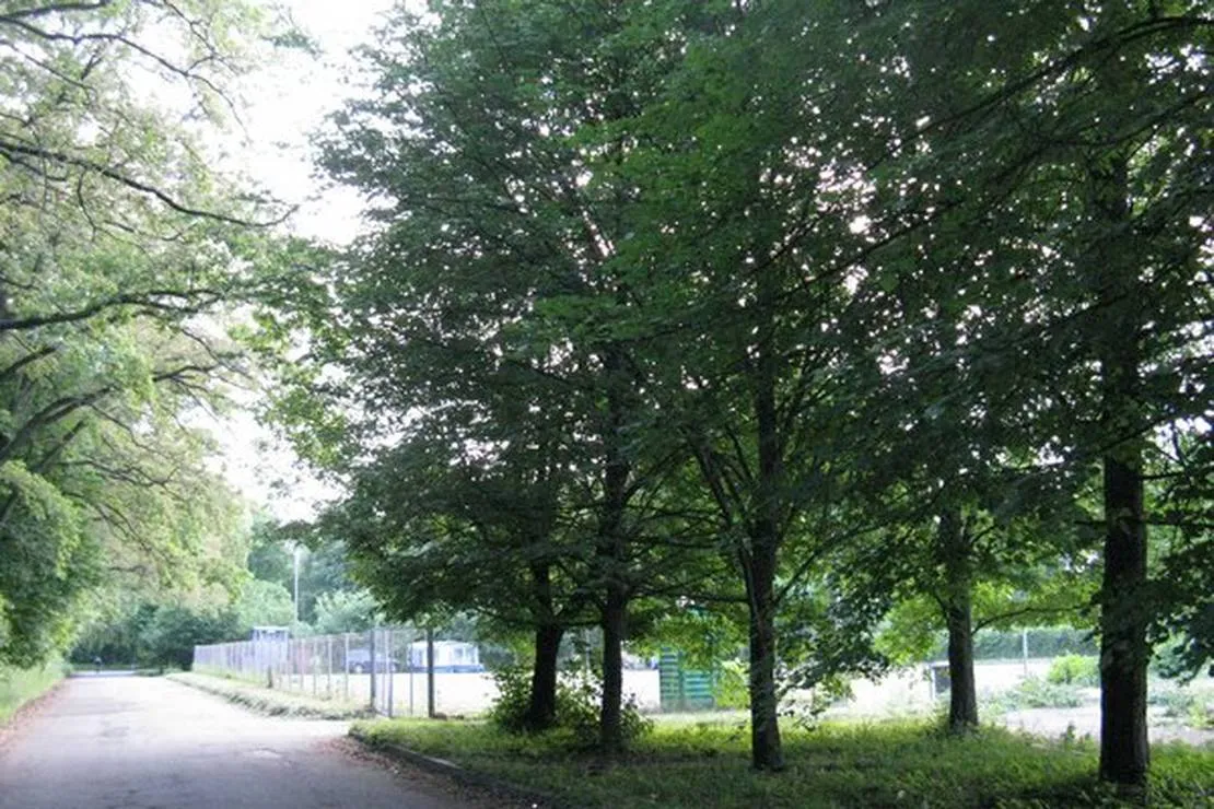camping-1-kyiv-holosiivskyi-district-mpqyf