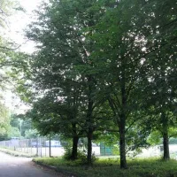 camping-1-kyiv-holosiivskyi-district-mpqyf