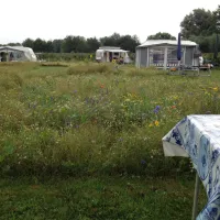 De Kikker