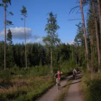 aisetas-camp-aisetele-utena-region-kztuz