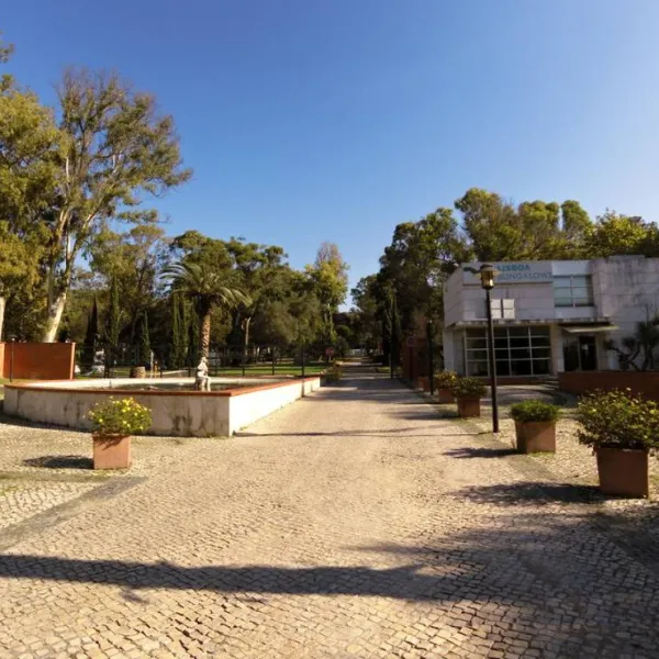 lisboa-camping-bungalows-monsanto-m8dwe