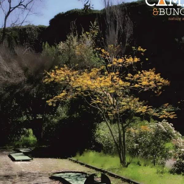 lisboa-camping-bungalows-monsanto-yefj7