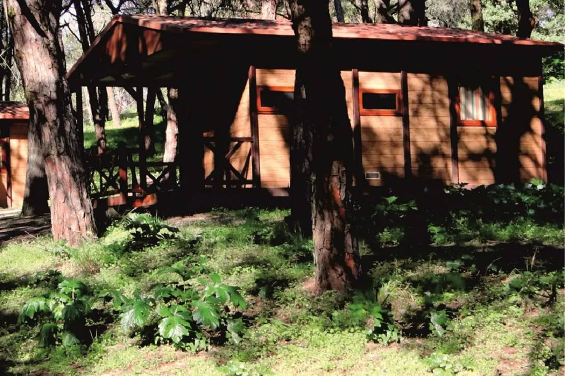 lisboa-camping-bungalows-monsanto-yg1ra