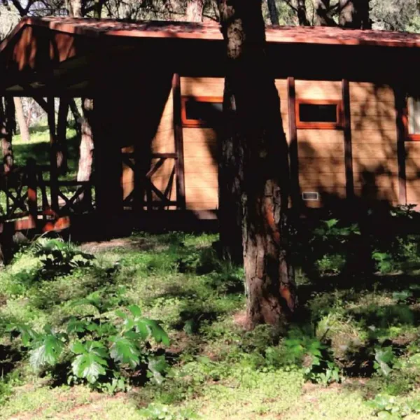 lisboa-camping-bungalows-monsanto-yg1ra