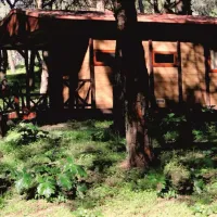 lisboa-camping-bungalows-monsanto-yg1ra