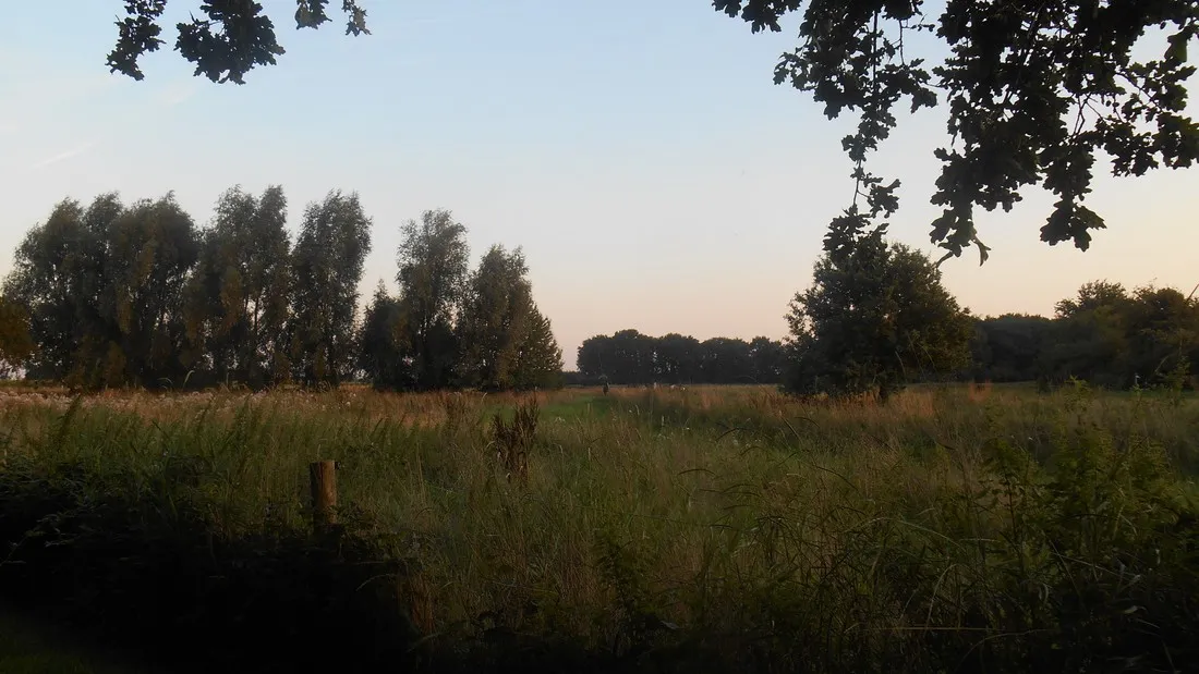 de-brunk-groeningen-9uref