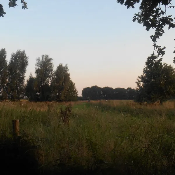 de-brunk-groeningen-9uref