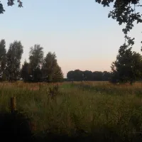 de-brunk-groeningen-9uref