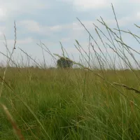 de-brunk-groeningen-tvc2s