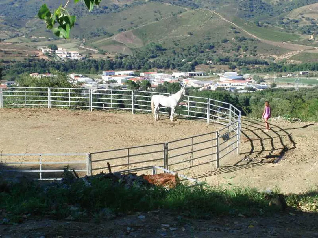 lalbadu-corte-csbxi
