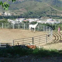 l´Albadu