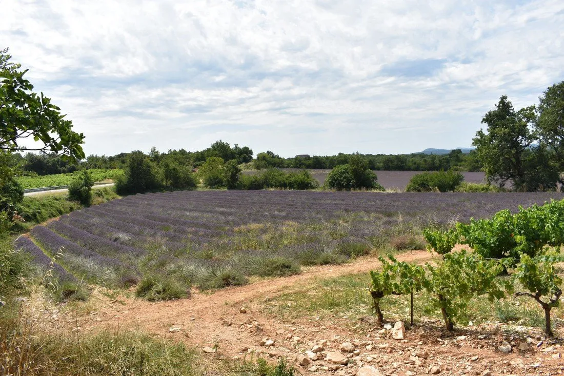 rcn-la-bastide-en-ardegraveche-ruoms-sampzon-ardegraveche-neibz