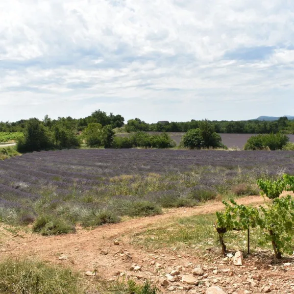 rcn-la-bastide-en-ardegraveche-ruoms-sampzon-ardegraveche-neibz