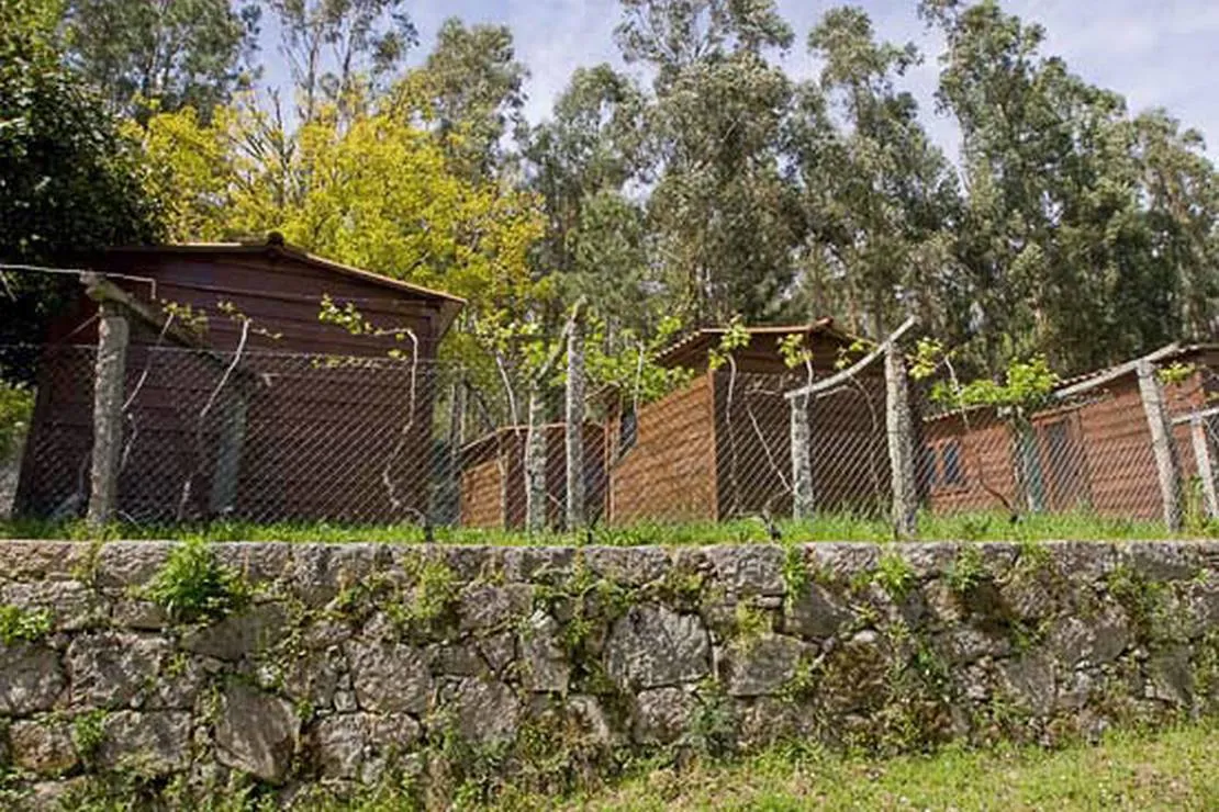 camping-quinta-da-vina-grande-entrimo-8owmv