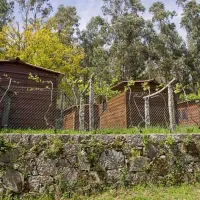 Camping Quinta Da Viña Grande