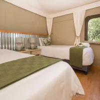 idwala-le-ingwe-tent-hekpoort-azmnu