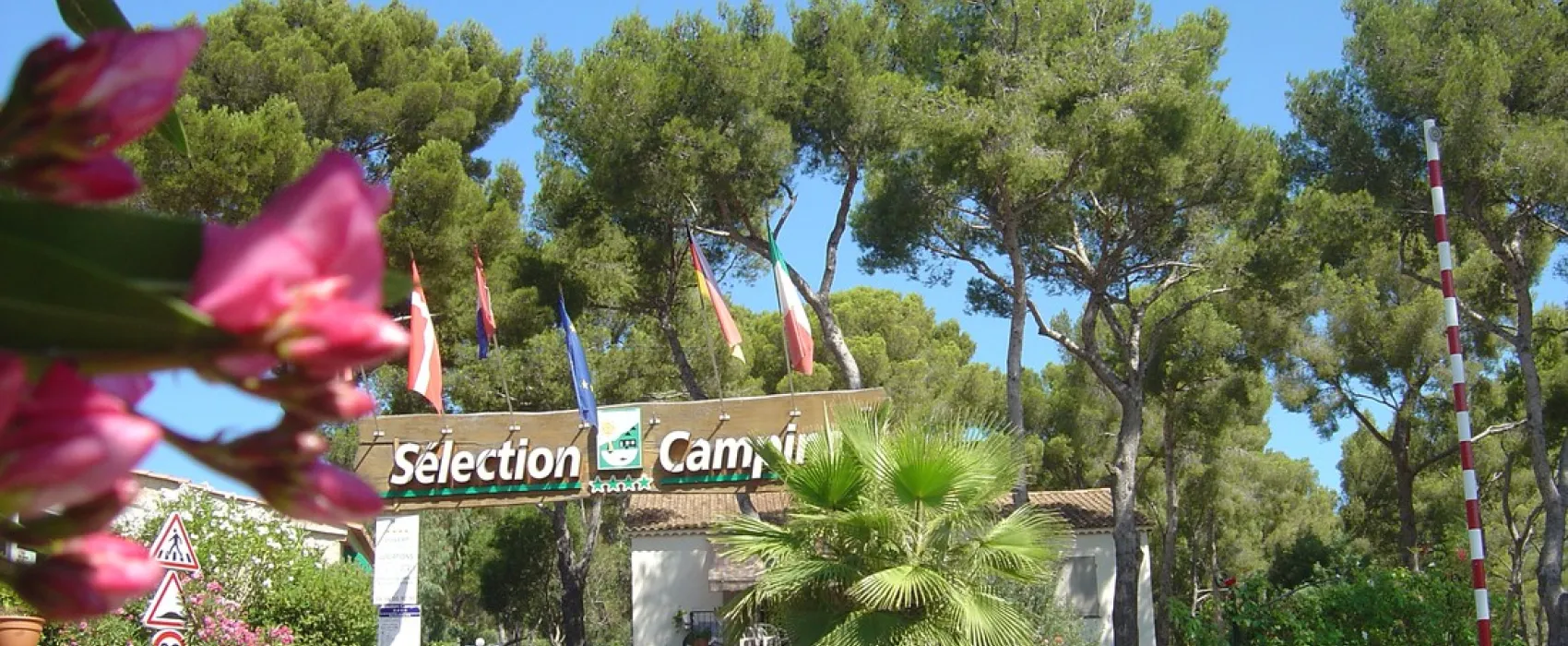 Sélection