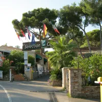selection-la-croix-valmer-var-ym2kn