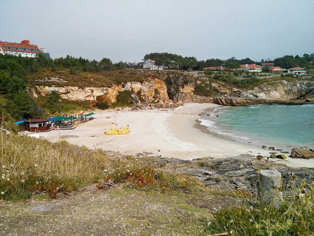 paxarinas-portonovo-4r19a