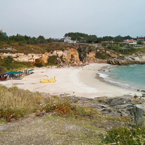 paxarinas-portonovo-4r19a