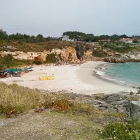 paxarinas-portonovo-4r19a